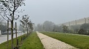 Scorcio del nuovo parco al quartiere S. Felice a ridosso dell'autostrada