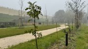 Scorcio del nuovo parco al quartiere S. Felice a ridosso dell'autostrada