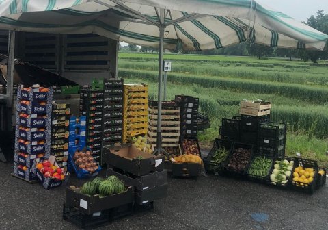 Parte della frutta e verdura sequestrata dagli agenti della Polizia Locale